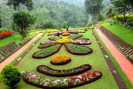 Coonoor Sightseeing Photos