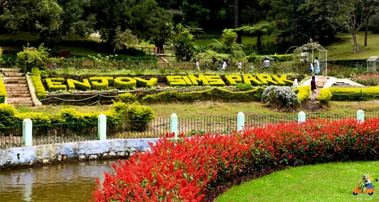 Coonoor Sightseeing Photos